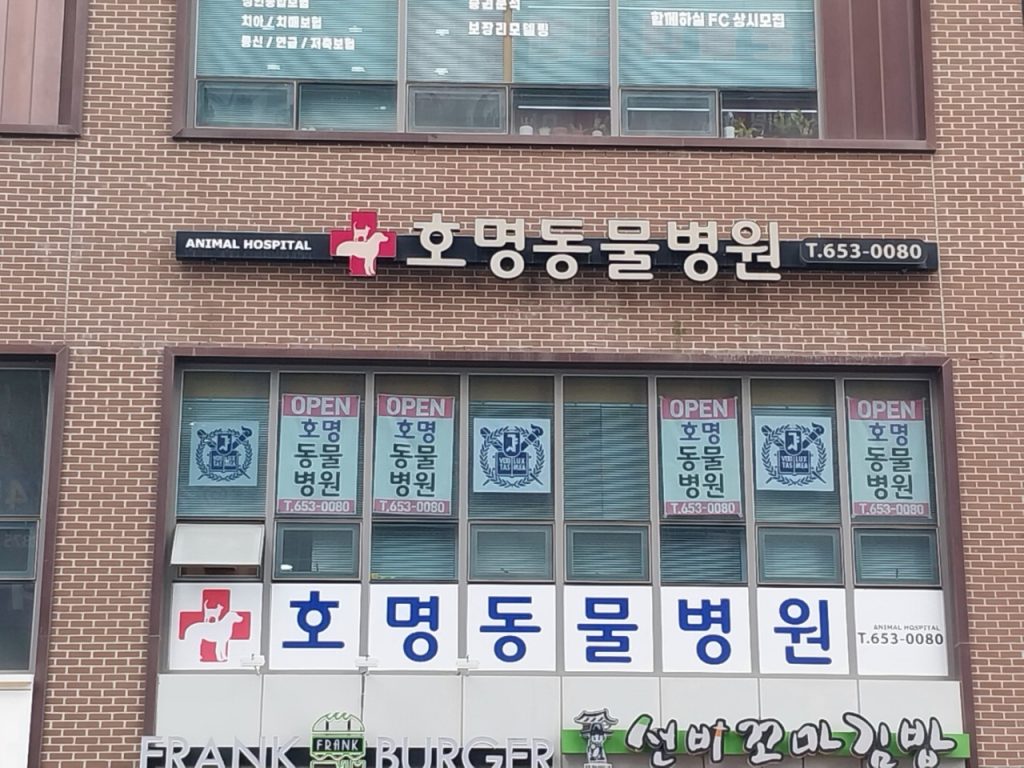 호명동물병원 사진 1