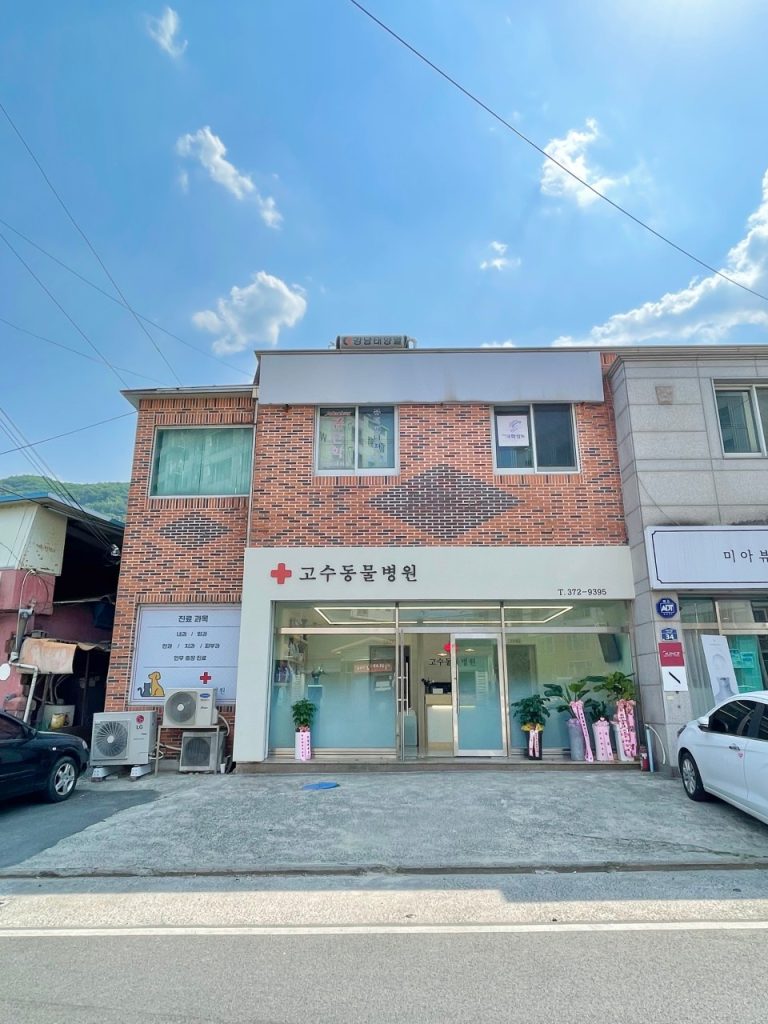 고수동물병원 사진 1