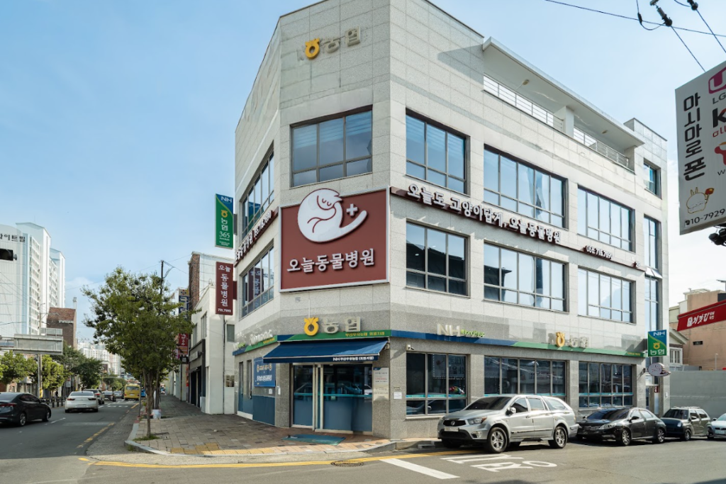 오늘동물병원 사진 1