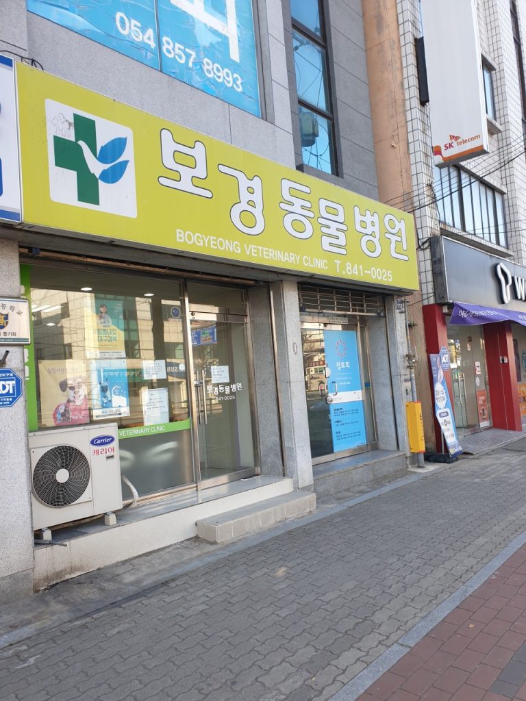 보경종합동물병원 사진 1