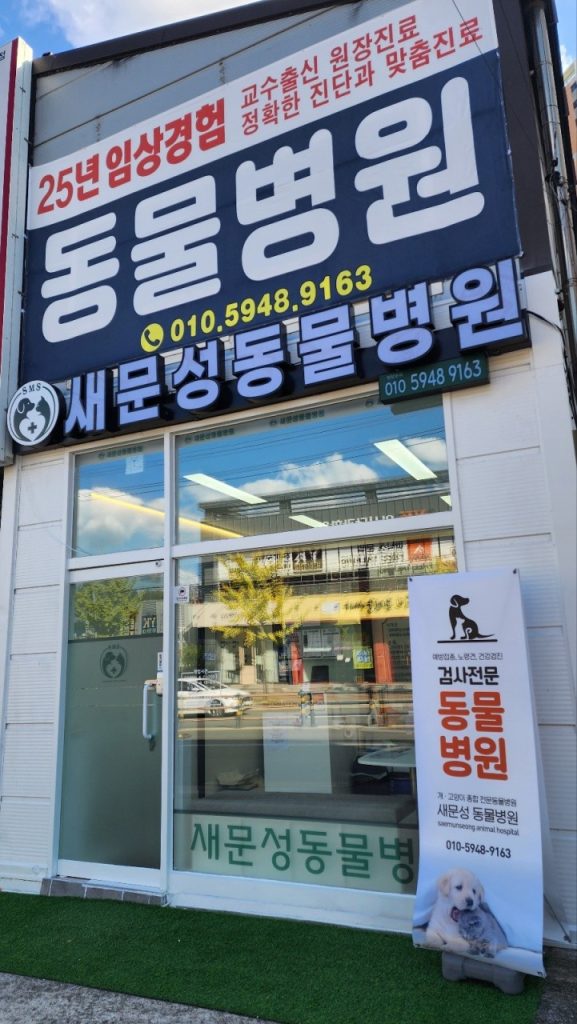 새문성동물병원 사진 1