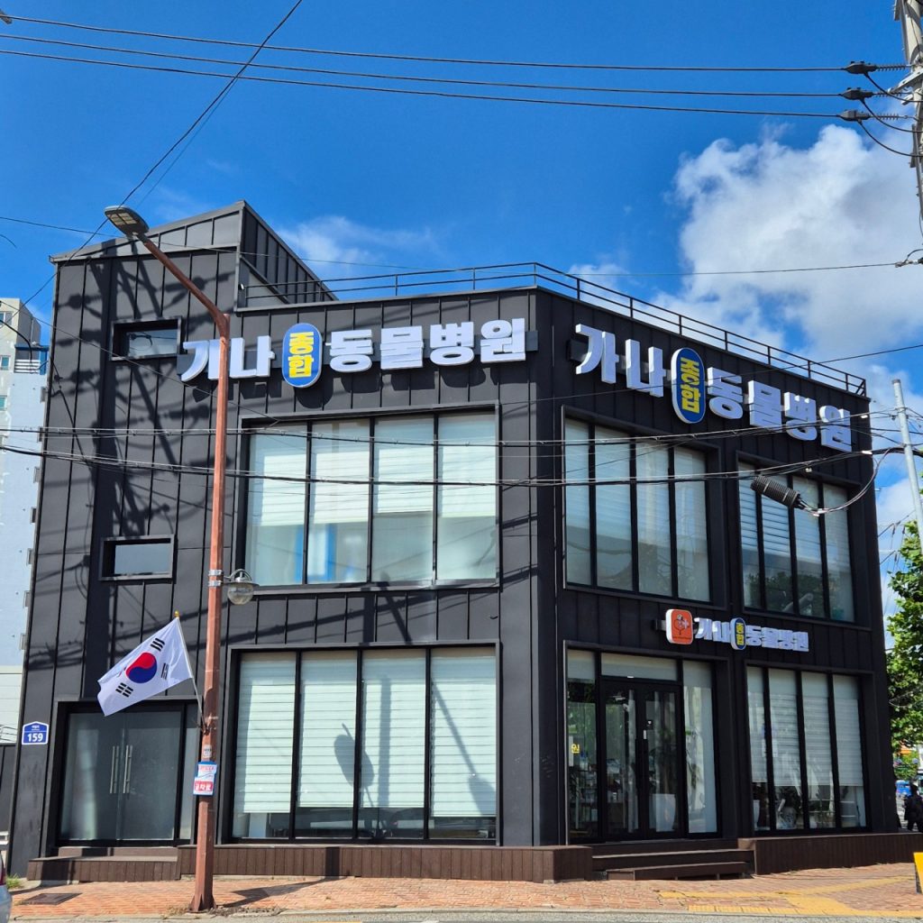 가나종합동물병원 사진 1