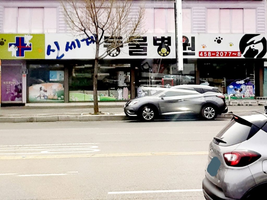 신세계동물병원 사진 1