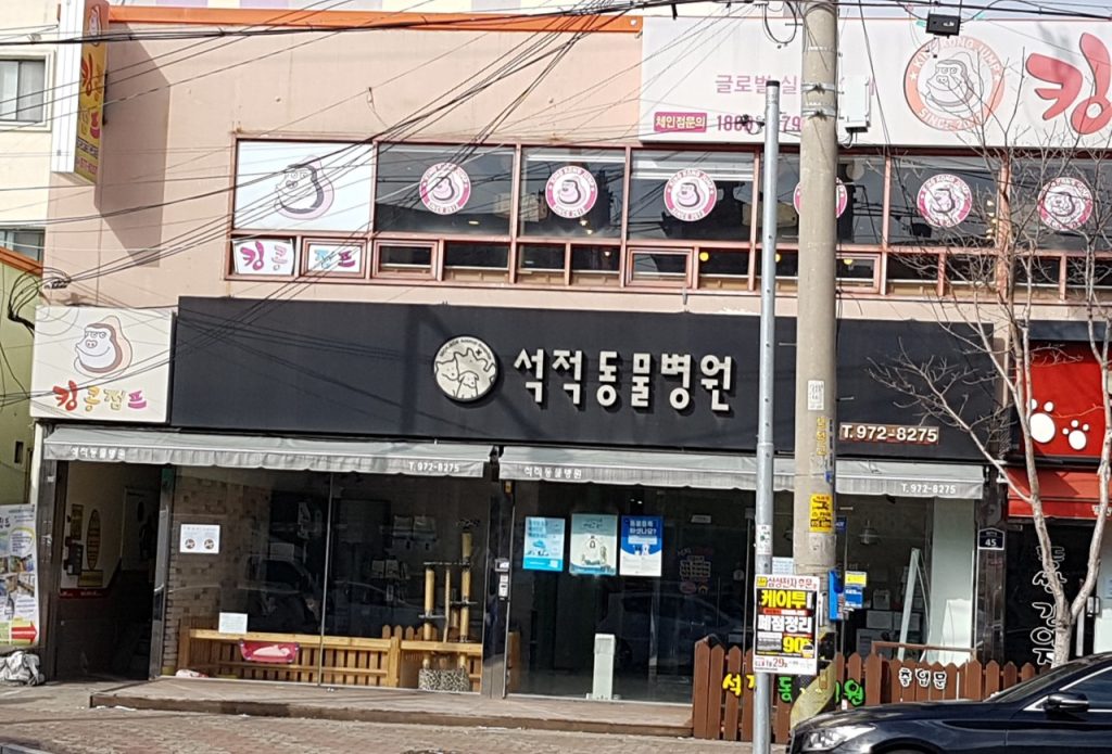 석적동물병원 사진 1