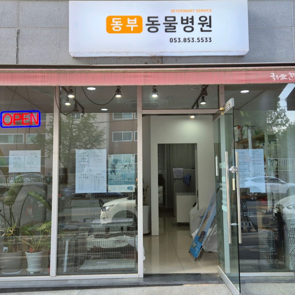 동부동물병원 사진 1