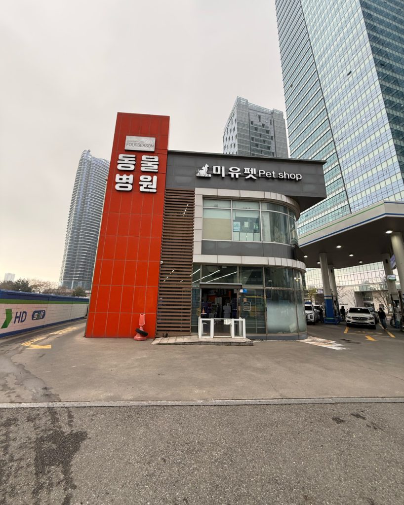 포시즌 송도동물병원 사진 1
