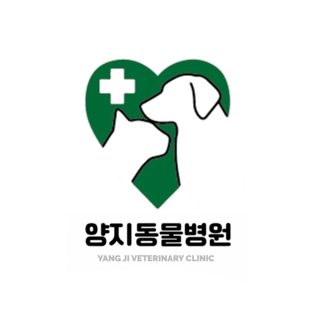양지동물병원 사진 1