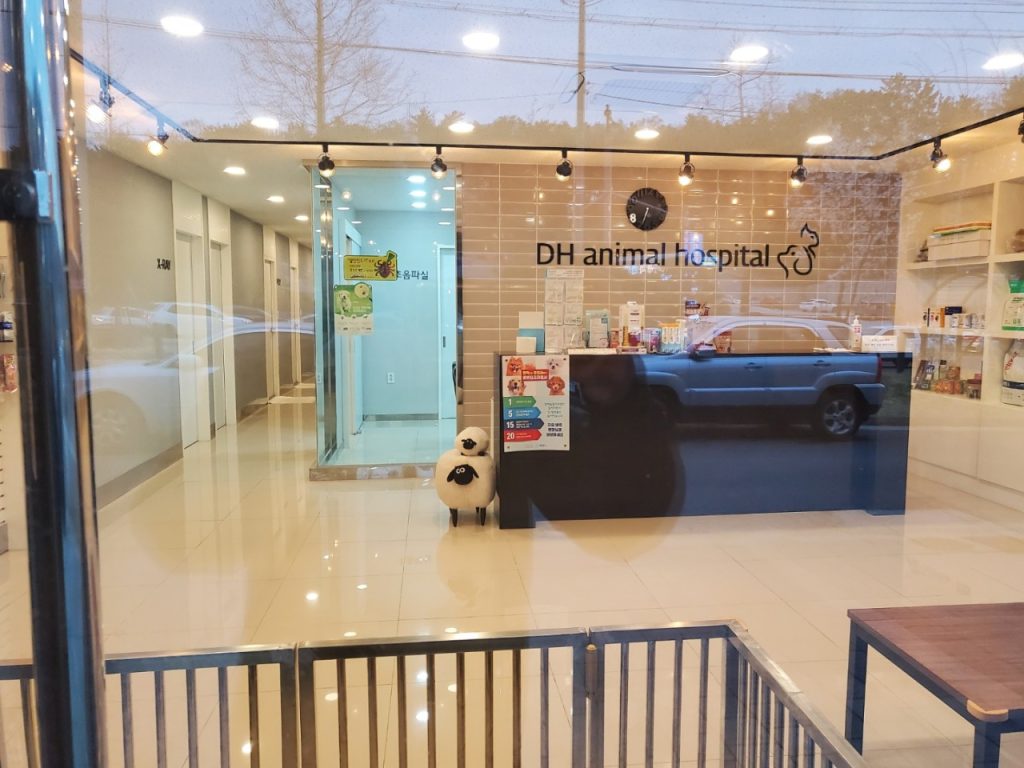 대흥동물병원 사진 1