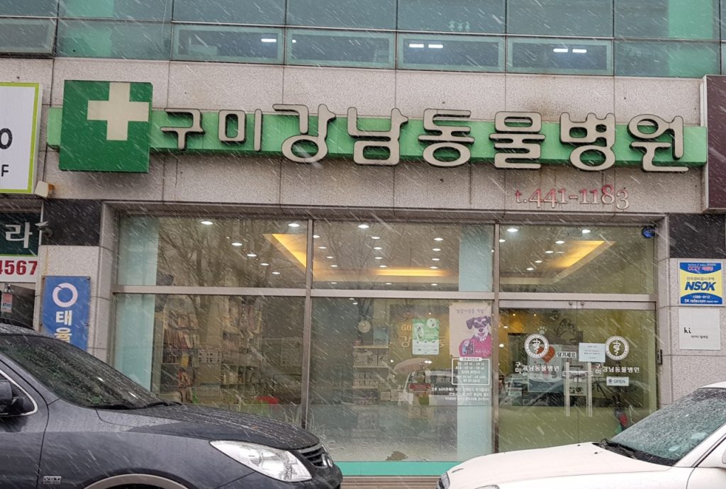 구미강남동물병원 사진 1