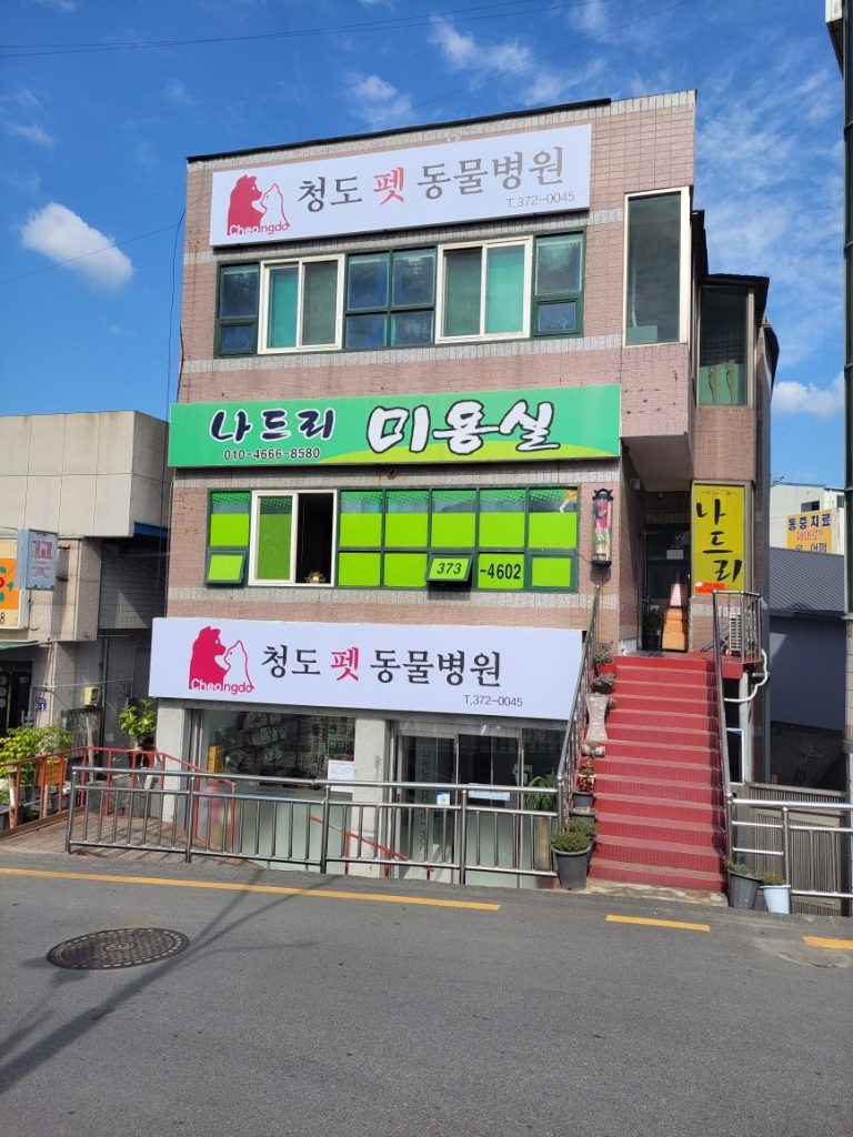 청도펫동물병원 사진 1