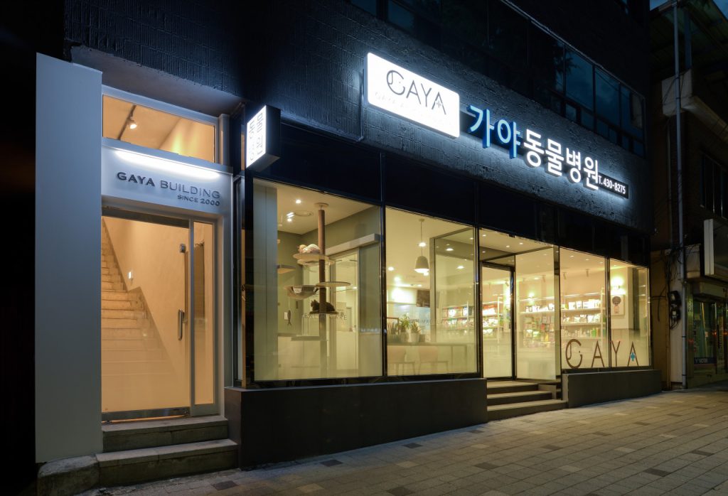 가야동물병원 사진 1