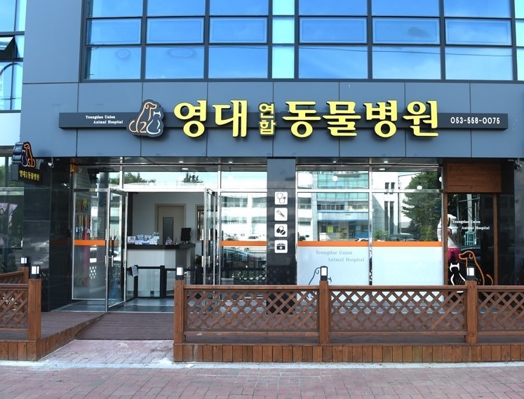 영대연합동물병원 사진 1