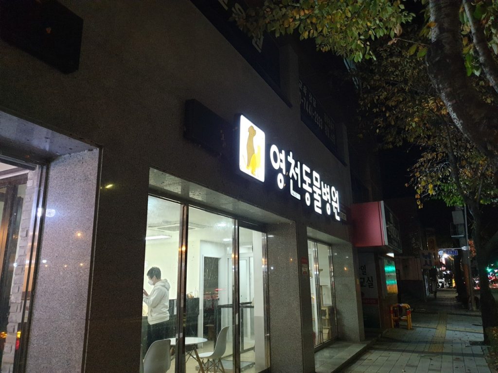 영천동물병원 사진 1