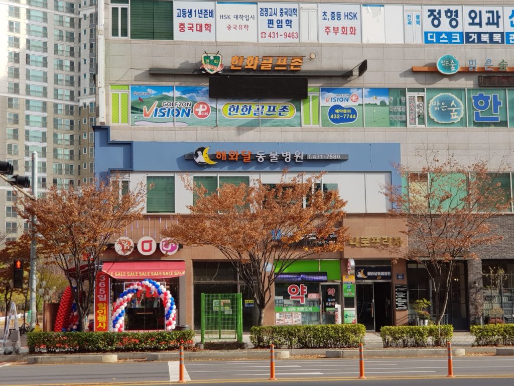 해와달동물병원 사진 1