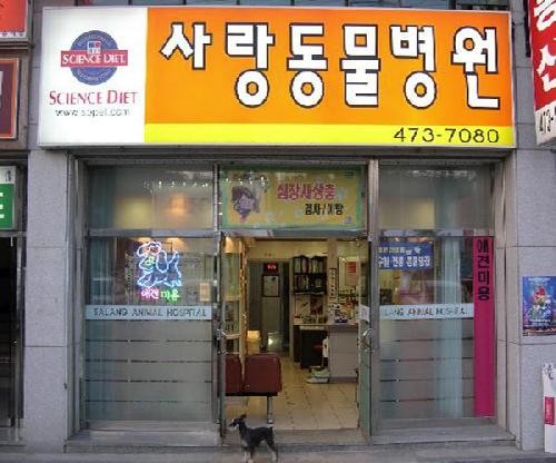 사랑동물병원 사진 1