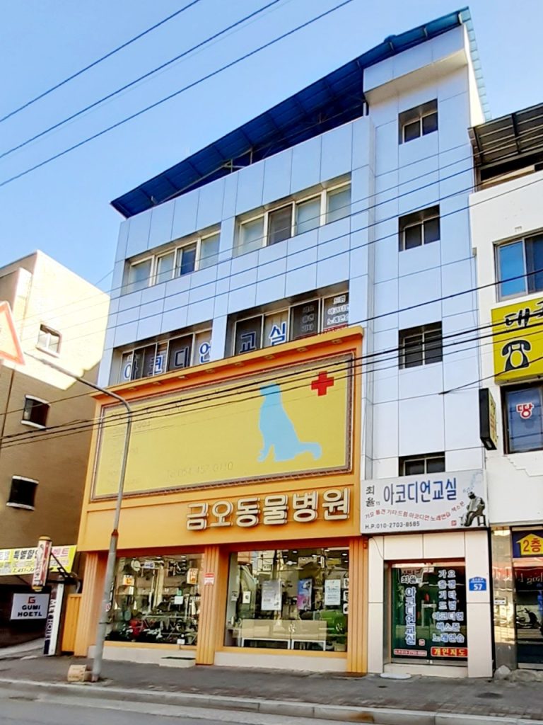 금오동물병원 사진 1