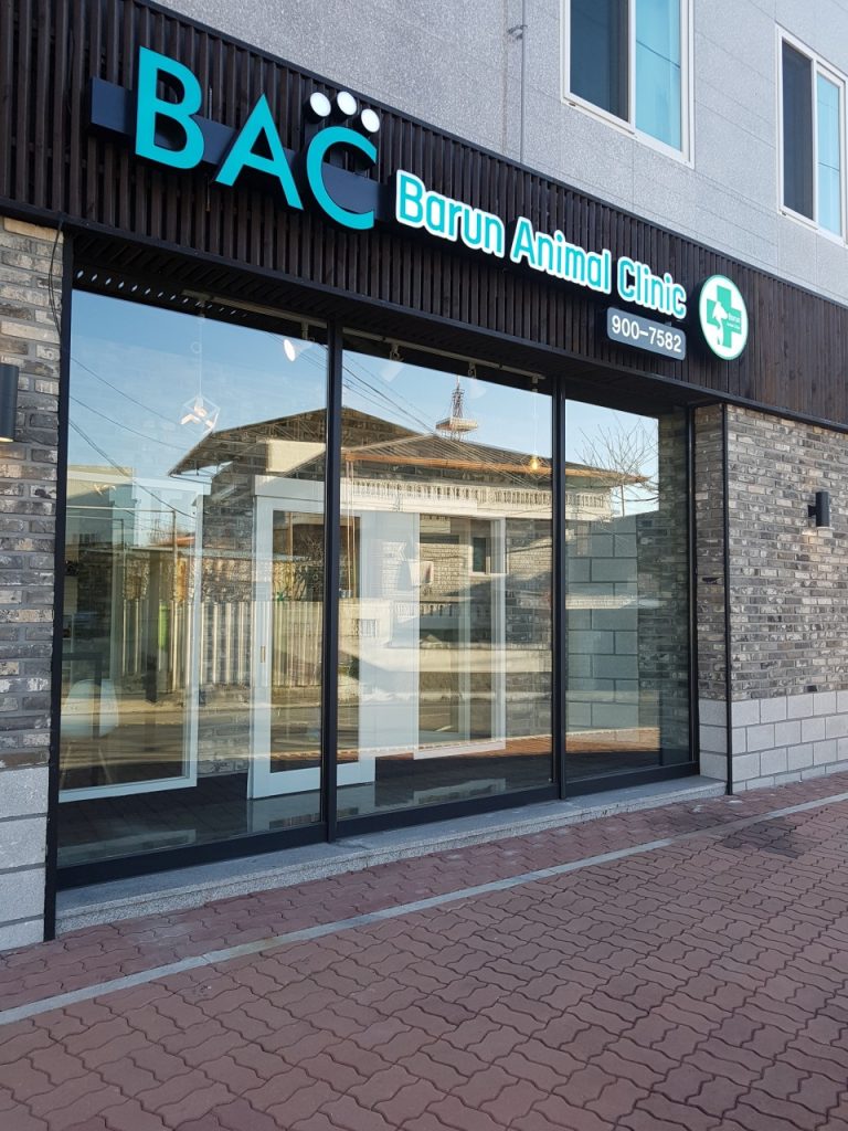 BAC바른동물병원 사진 1