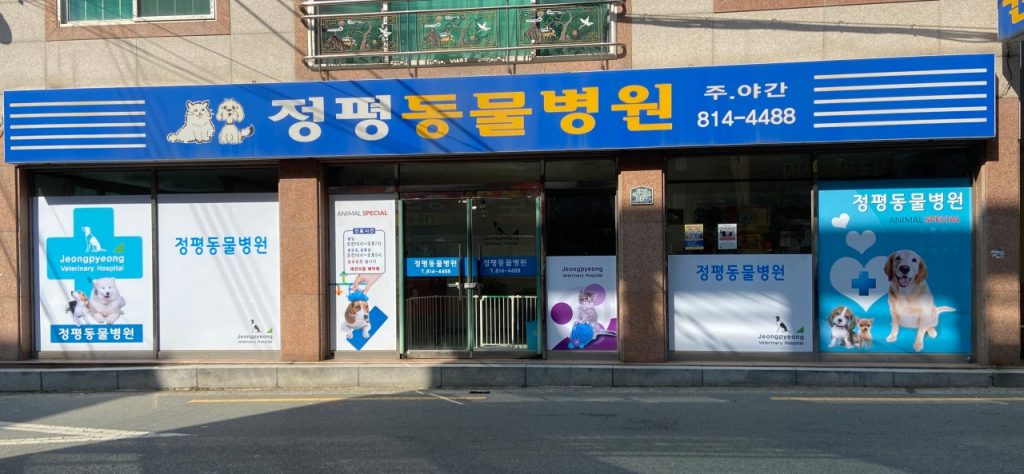 정평동물병원 사진 1