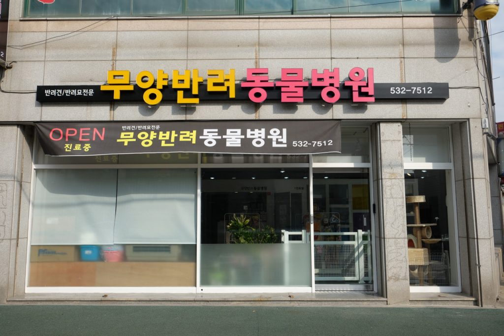 무양반려동물병원 사진 1