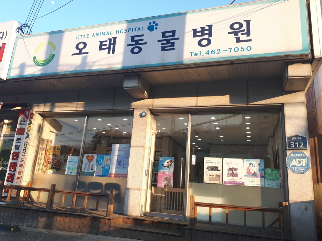 오태동물병원 사진 1