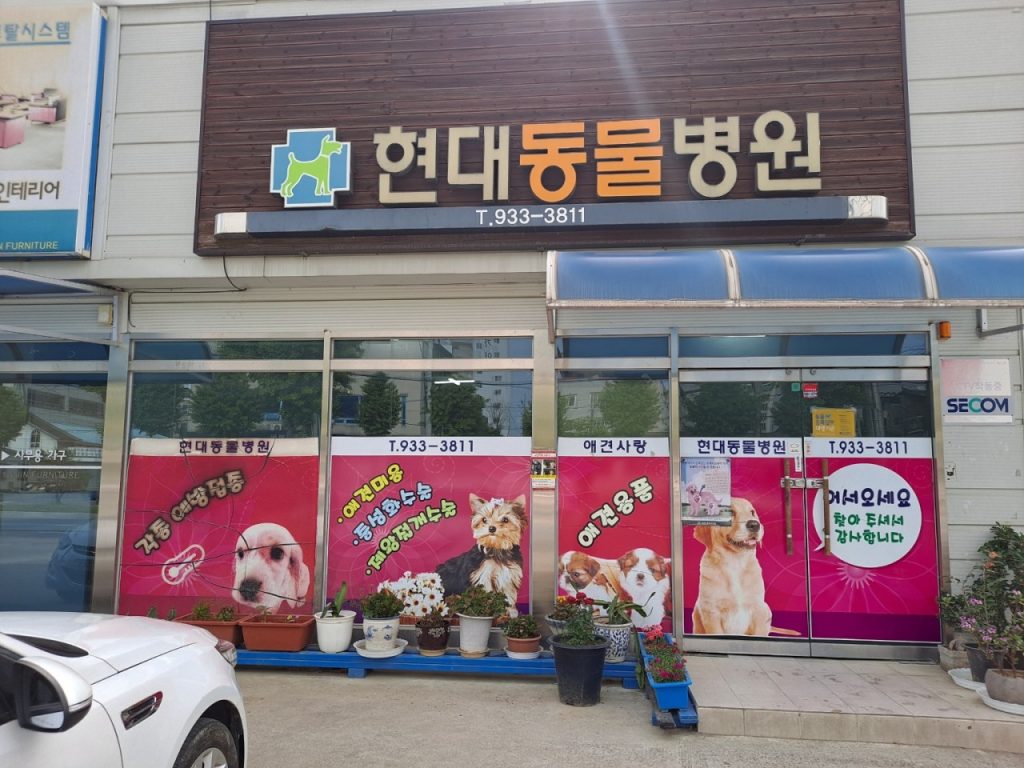 현대동물병원 사진 1