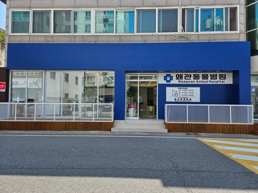 왜관동물병원 사진 1