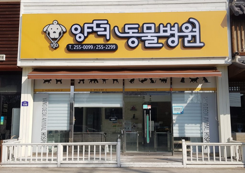 양덕동물병원 사진 1