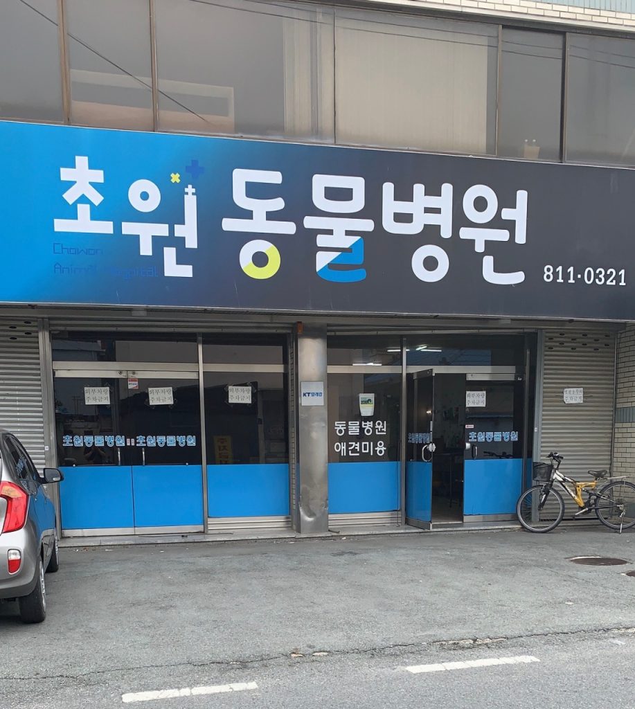 초원동물병원 사진 1