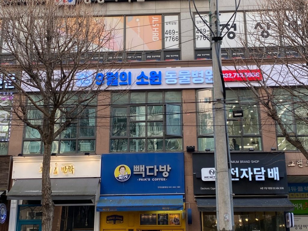 9월의소원동물병원 사진 1