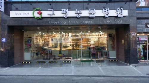 구평동물병원 사진 1