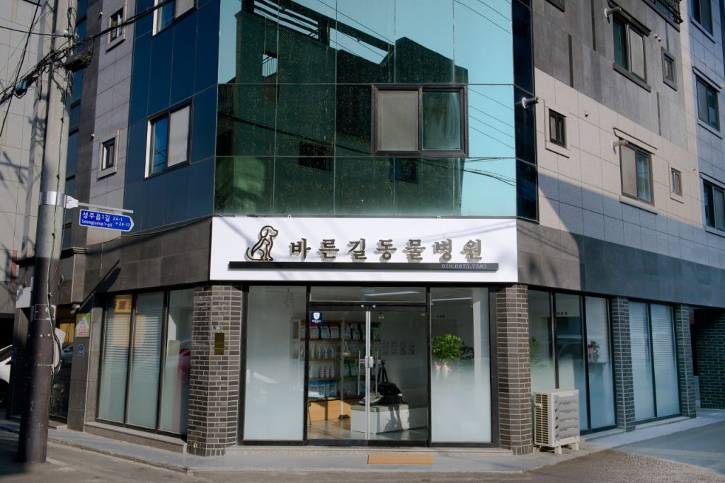 바른길동물병원 사진 1