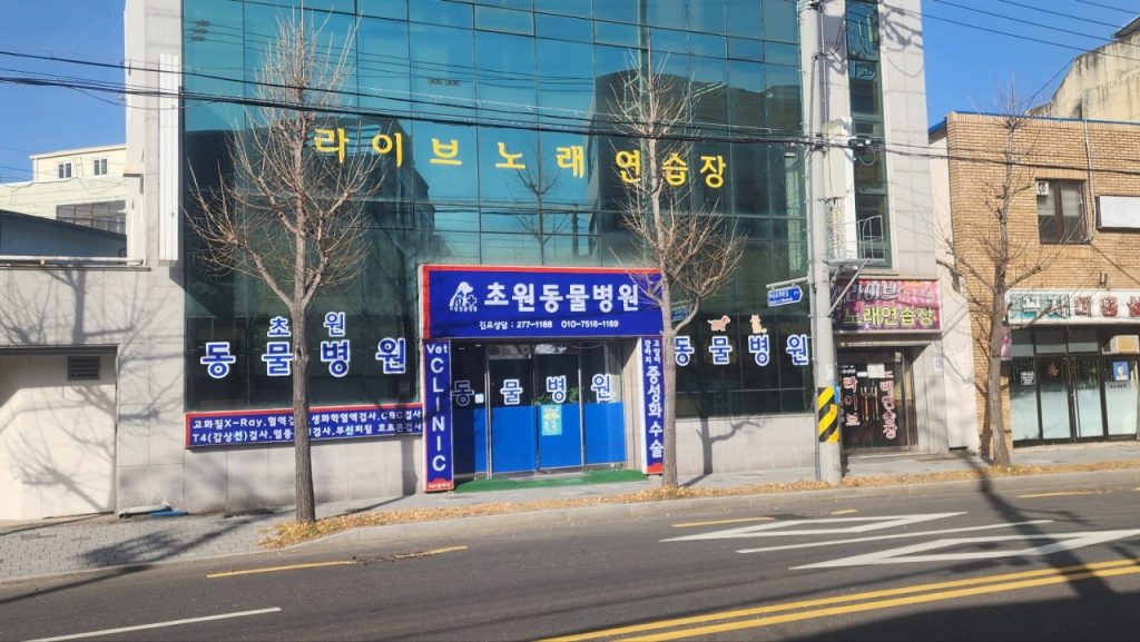 초원동물병원 사진 1