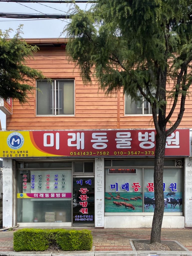 미래동물병원 사진 1