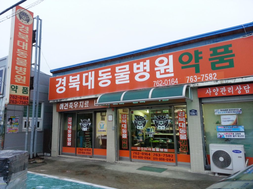 경북대동물병원 사진 1