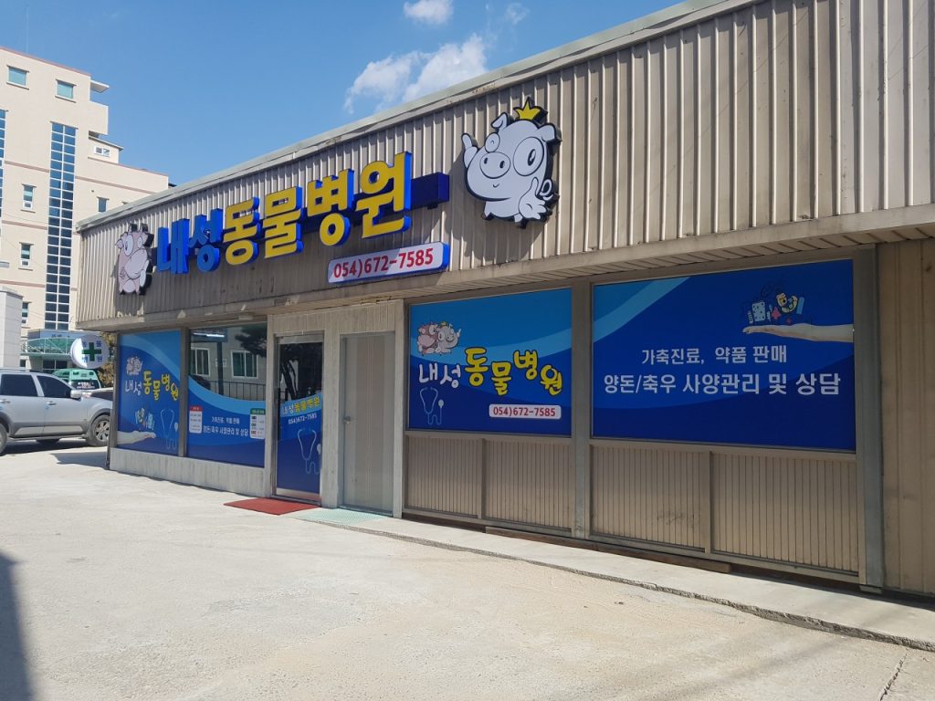 내성동물병원 사진 1