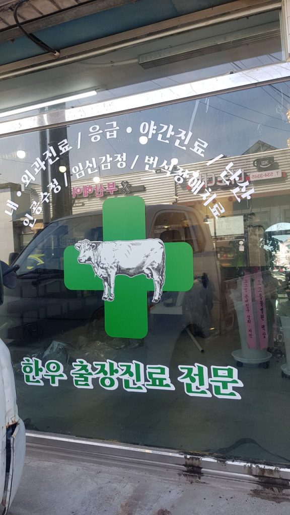 고고동물병원 사진 1