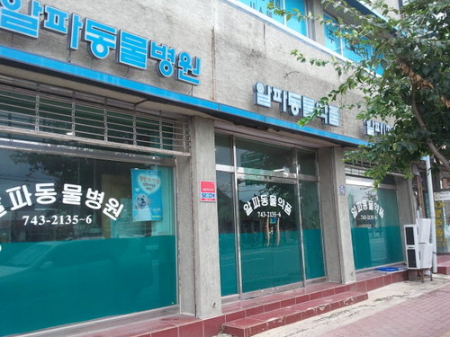 알파동물병원 사진 1