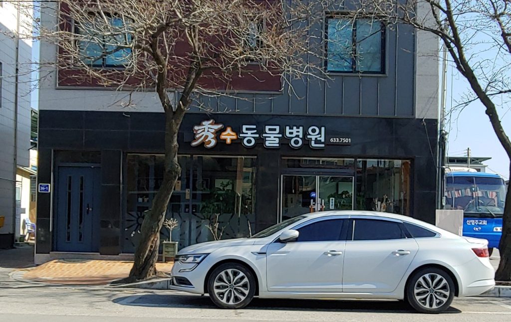 수동물병원 사진 1
