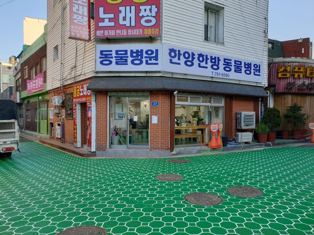 한양한방동물병원 사진 1