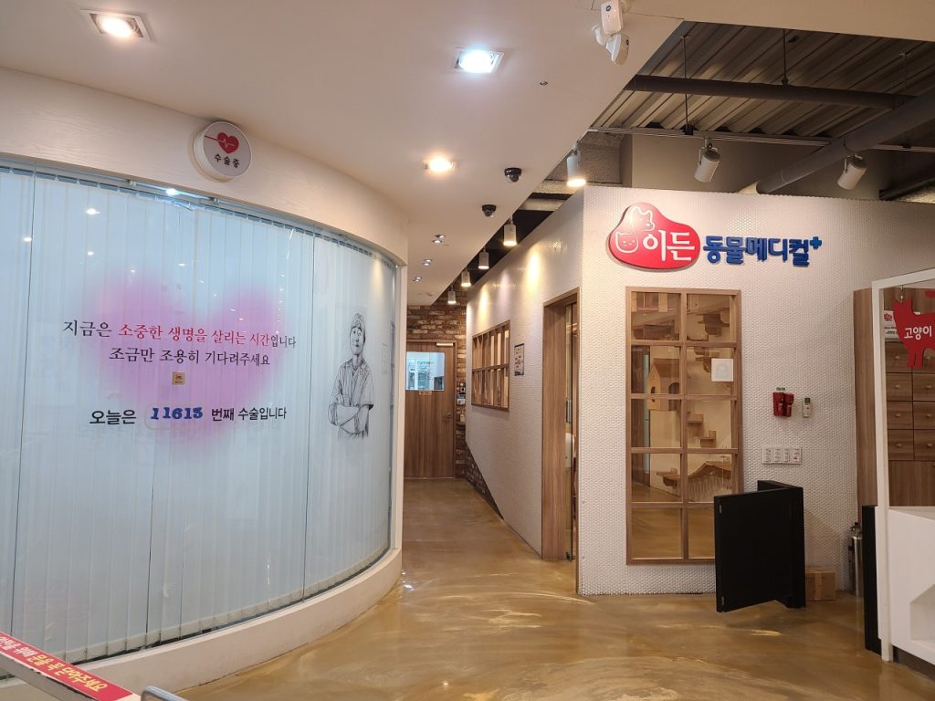 이든본스 외과 2차 동물의료원 사진 1