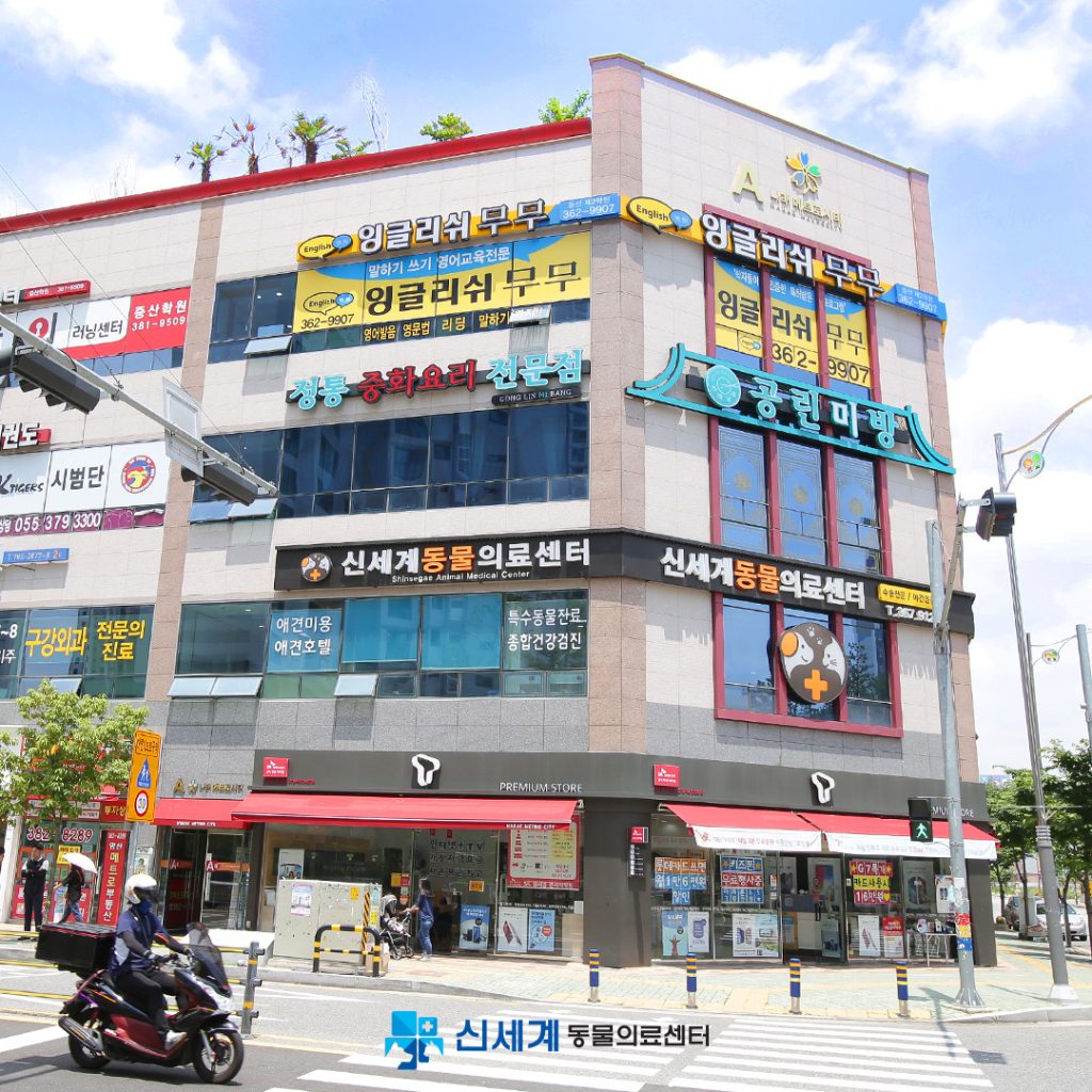 신세계동물의료센터 사진 1