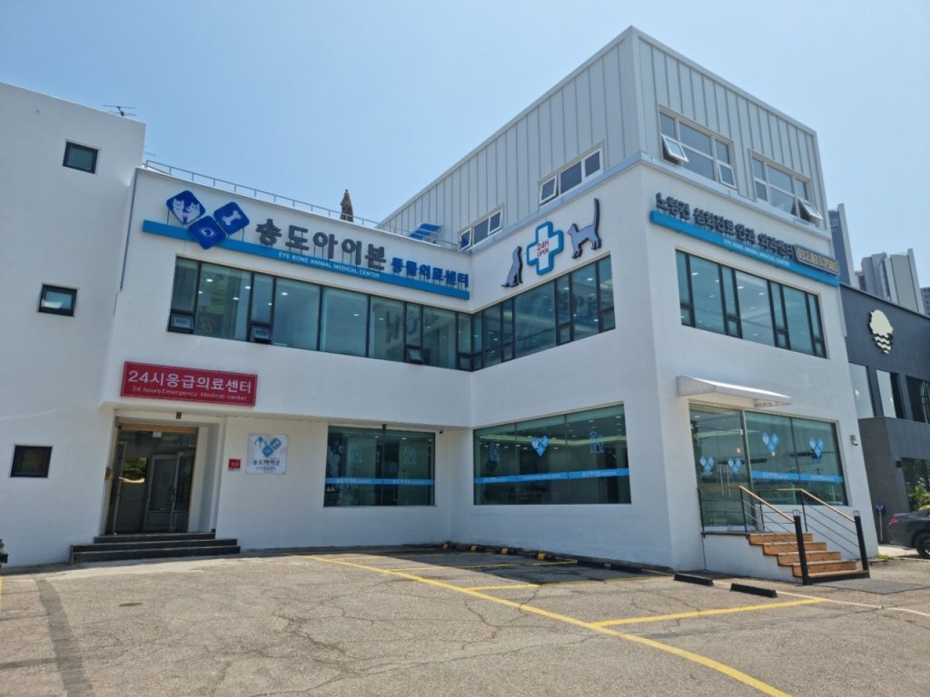 송도아이본동물의료센터 사진 1