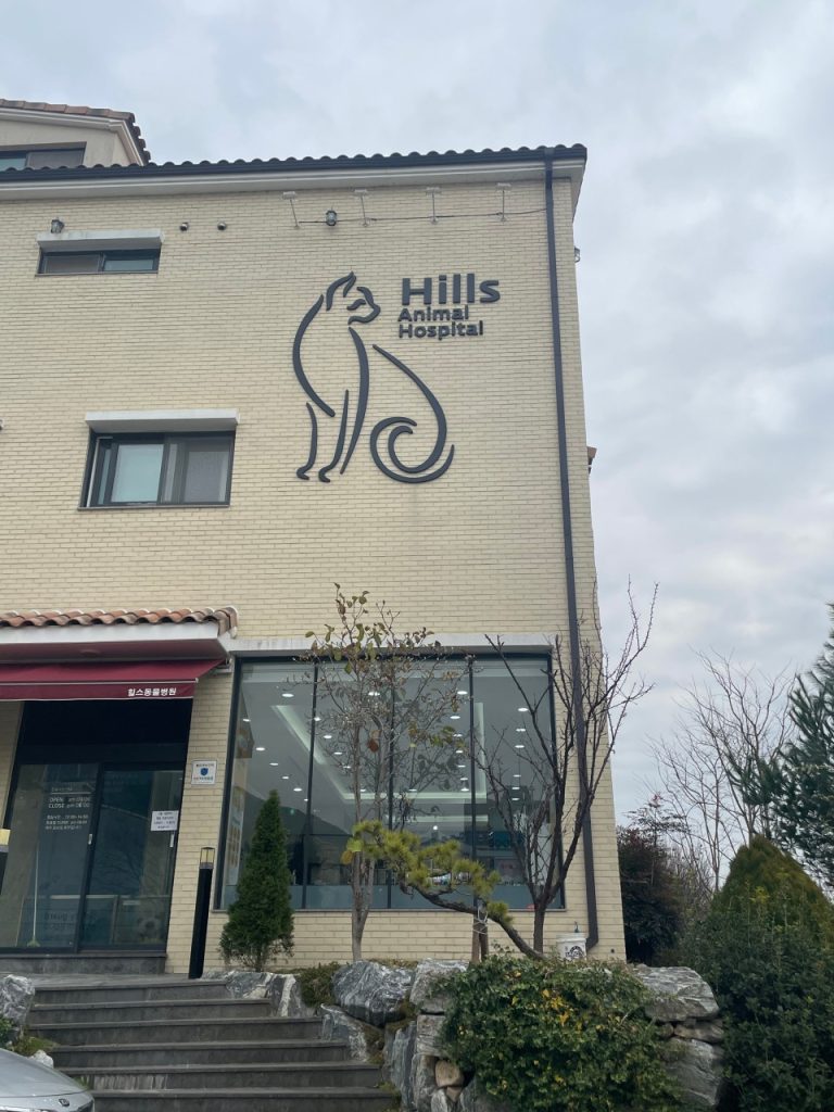 힐스 동물병원 사진 1