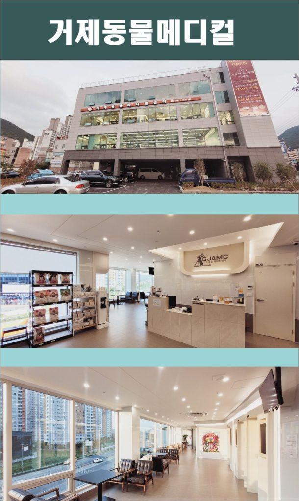 거제동물메디컬센터 사진 1