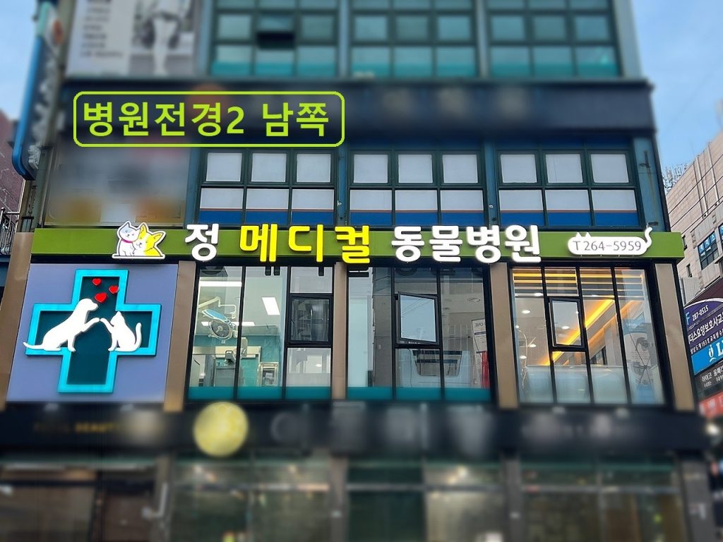 정메디컬동물병원 사진 1
