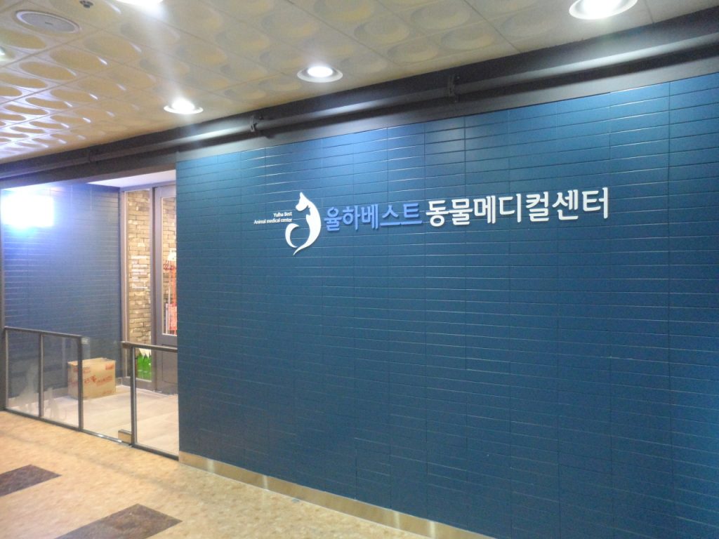 율하베스트동물메디컬센터 사진 1