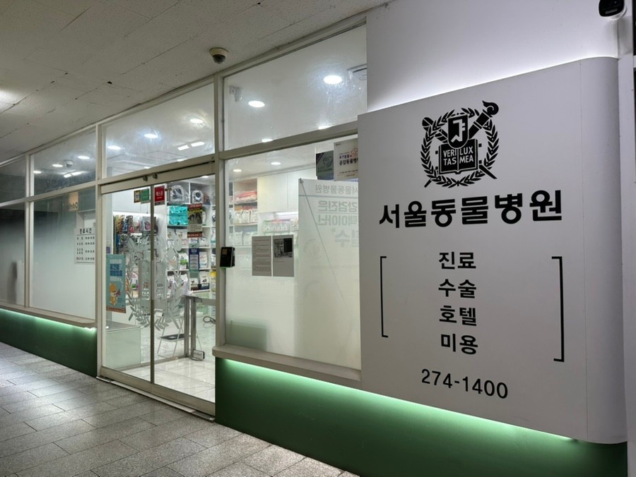 서울동물병원 사진 1