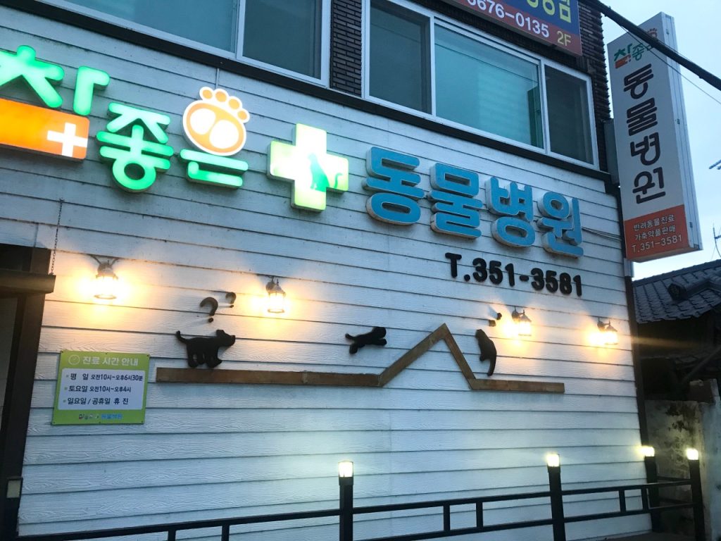 참좋은동물병원 사진 1