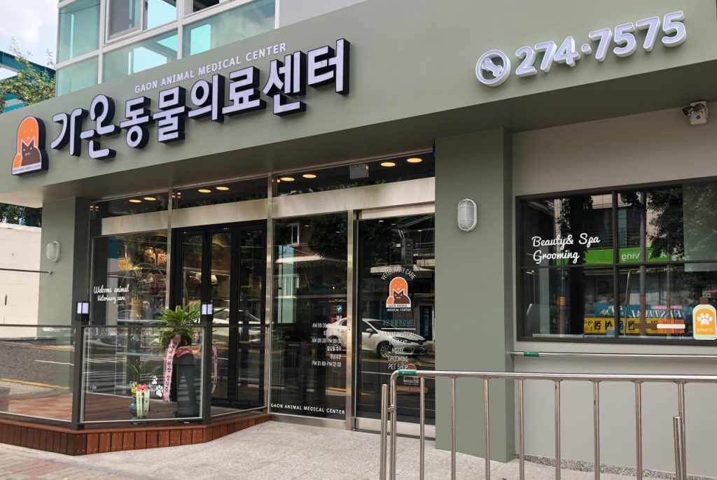 가온동물의료센터 사진 1