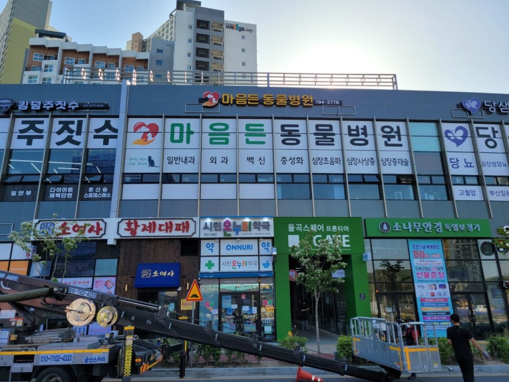 마음든동물병원 사진 1